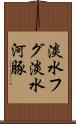 淡水フグ Scroll