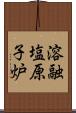 溶融塩原子炉 Scroll