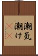 潮気 Scroll