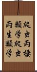 爬虫両棲類学 Scroll