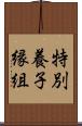 特別養子縁組 Scroll