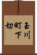 玉川町下切 Scroll