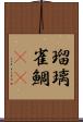 瑠璃雀鯛(sK) Scroll