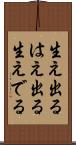 生え出る Scroll