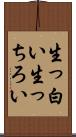 生っ白い Scroll