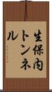 生保内トンネル Scroll