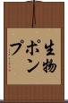 生物ポンプ Scroll