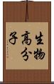 生物高分子 Scroll