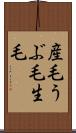 産毛 Scroll