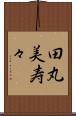 田丸美寿々 Scroll