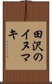 田沢のイヌマキ Scroll