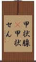 甲状腺(P) Scroll