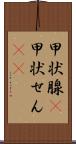甲状腺(P) Scroll