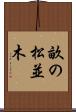 畝の松並木 Scroll