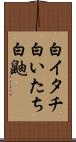 白イタチ Scroll