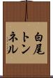 白尾トンネル Scroll