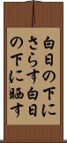 白日の下にさらす;白日の下に晒す Scroll