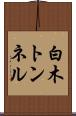 白木トンネル Scroll