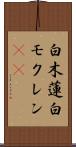 白木蓮 Scroll