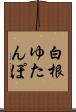 白根ゆたんぽ Scroll