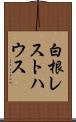 白根レストハウス Scroll