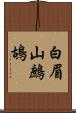 白眉山鷓鴣 Scroll