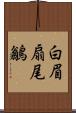 白眉扇尾鶲 Scroll