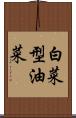 白菜型油菜 Scroll