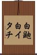 白鼬 Scroll