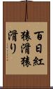 百日紅 Scroll
