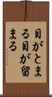 目がとまる Scroll
