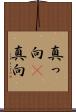 真っ向(P) Scroll