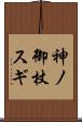 神ノ御杖スギ Scroll