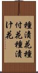 種漬花 Scroll