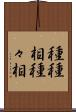 種種相 Scroll