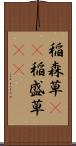 稲森草(rK) Scroll