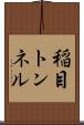 稲目トンネル Scroll