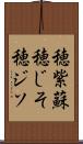 穂紫蘇 Scroll