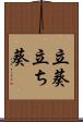 立葵 Scroll