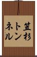 笠杉トンネル Scroll