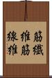 筋繊維 Scroll