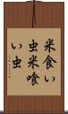 米食い虫 Scroll