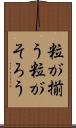 粒が揃う Scroll
