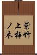 紫竹上梅ノ木 Scroll