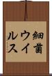 細菌ウイルス Scroll