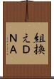 組換えＤＮＡ Scroll