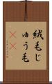 絨毛 Scroll