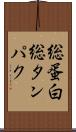 総蛋白 Scroll