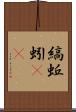 縞蚯蚓(rK) Scroll