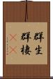 群生 Scroll